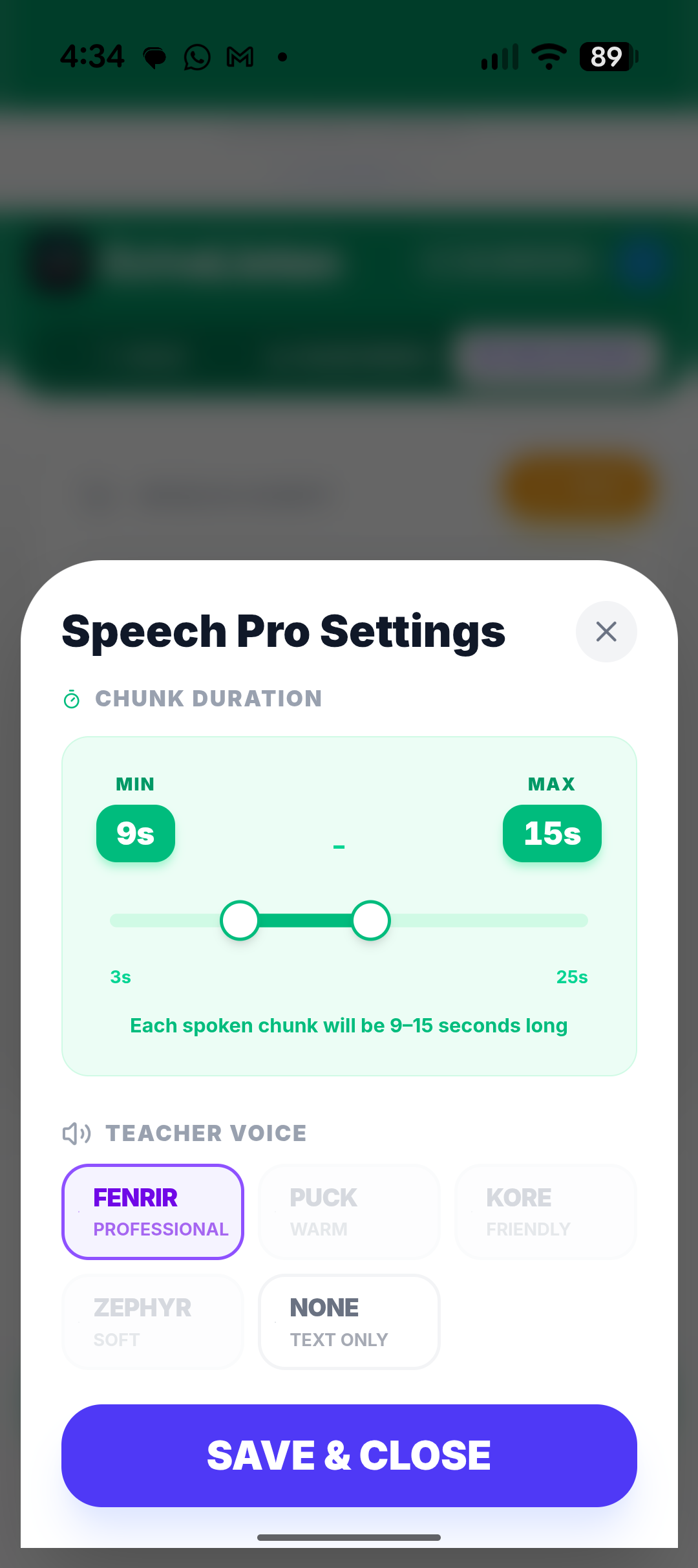 Speech Pro Options